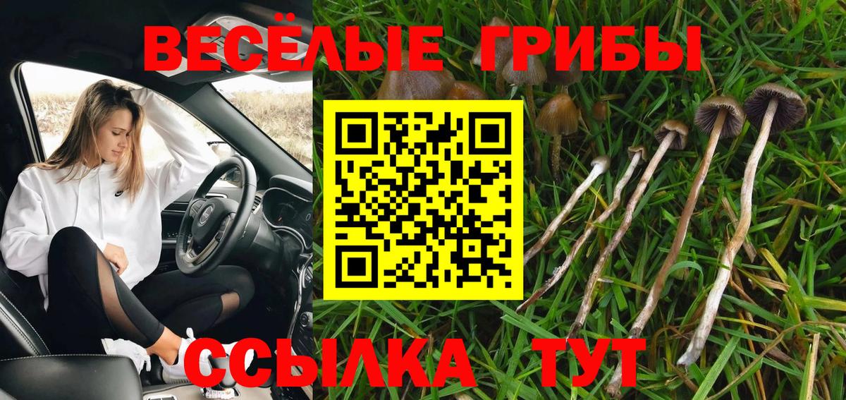 Галлюциногенные грибы MAGIC MUSHROOMS Торжок