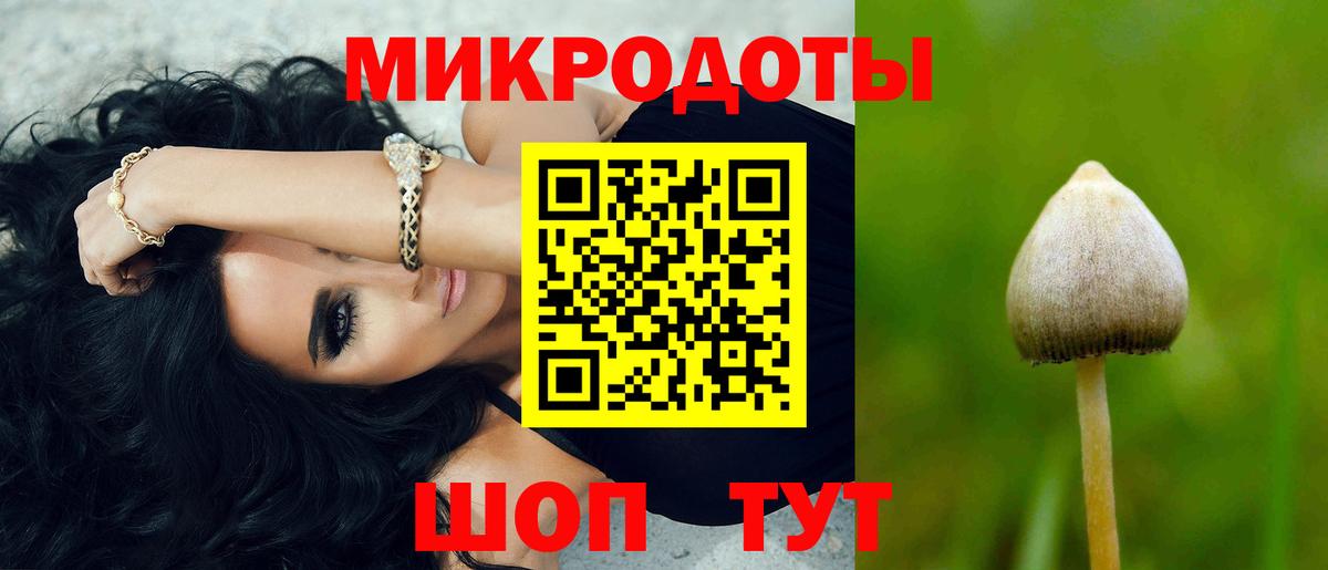 Торжок  Псилоцибиновые грибы Magic Shrooms  Вход с VPN  Галлюциногенные грибы Cubensis 